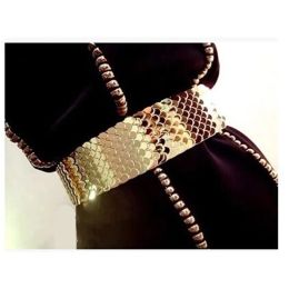 Chains s and Silver Wide Elastic Gold Metal Fish Skin Keeper Brand Belts for Women Cinto Feminino luxury 220808