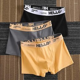 Underpants Men's Cotton Panties BoxerShorts Man Underwear Sexy Men Boxers Breathable U Convex Male Comfort Shorts L-XXXL