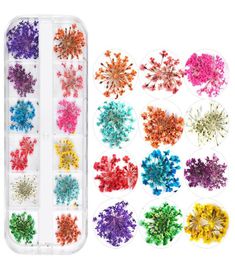 Nail Dried Flowers 3D Nail Art Sticker for Tips Manicure Decor Mixed Accessories Nail Flower Decorators for Salon2544986