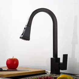 Kitchen Faucets Copper Pull-out Faucet Black Paint And Cold Water Tank Sink Mixing Valve