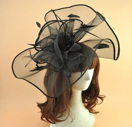 2018 New White Black Plain Feather Facinator Hair Clip VIntage Women Wedding Bride Hats Hairpin Banquet Dinner Ladies Mesh Headdre7062780