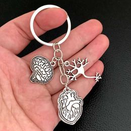 Keychains Lanyards 1 Piece Keychain Medical Anatomy Key Brain Heart Nerve Cell Shaped Keychain Doctor And Nurse Bag Chain Jewelry Gift Y240510