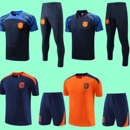 23 24 Soccer tracksuits DE JONG Holland 2023 2024 World DE LIGT Cup WIJNALDUM KLAASSEN DUMFRIES Football BERGWIJN VIRGIL Mens Short sleeve pants polo training set