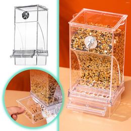 Other Bird Supplies Feeder Transparent Parrot Automatic Tiger Skin Peony Feeding Basin Skyline Large