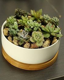 Modern White Ceramic Round Succulent Cactus Planter Pot with Drainage Bamboo TrayDecorative Garden Flower Holder Bowl9859214