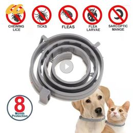 Dog Collars Adjustable Collar Anti Flea And Tick Cat 8Month Protection Retractable Pet For Puppy Large Dogs Accessory