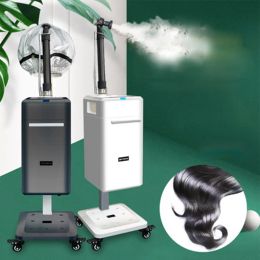 Salon Hair Care Ultrasonic Micro Mist Speed Up Colour Dye And Treatment Nano Hair Steamer