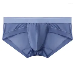 Underpants Mens Briefs Ice Silk Panties Ultra-Thin Mesh Translucent Underwear High Elastic U Convex Pouch Lingerie Slip Homme