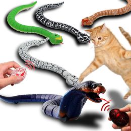 RC Snake Toys for Boys Kids Girls Children Remote Control Animals Electric Cobra Rattlesnake Cat Pets Robot Shark Spider 240514