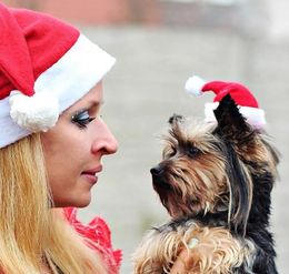Christmas Pet Cat Dog Santa Claus Hat Christmas Xmas New Year Plush Cap party home Decorations Supplies Winter Warm5074330