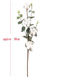 2020 NEW Naturally Dried Cotton Flowers Artificial Plants Floral Branch for Wedding Party Decoration Fake Flowers Home Artificial 3856520