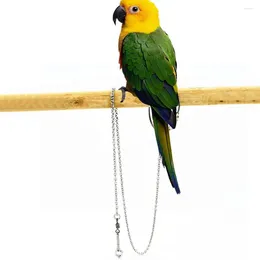 Other Bird Supplies 4 Size Stainless Steel Parrot Foot Chain Ankle Ring Stand Flying Training Bird's Anklet Accessories