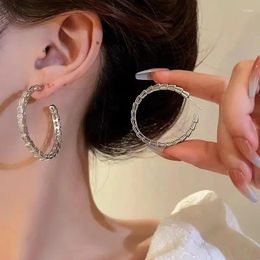 Hoop Earrings 925 Silver Snake Bone For Women Korean Cool Style Circle Premium