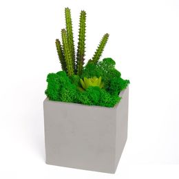 Vases Succent Moss Square Bonsai Cement Planter Drop Delivery Home Garden Dhzv4