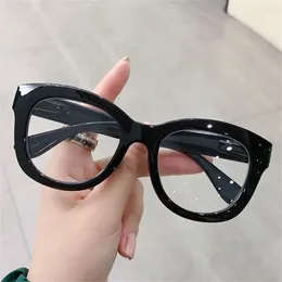 Sunglasses PC Anti-UV Blue Rays Glasses Vision Care Solid Colour Ultra-light Eyeglasses Big Frame Leopard Print Flat Mirror Eyewear Men