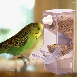 Other Bird Supplies Automatic Feeder PP Large Capacity Splash-proof Anti-spill Trough Peony Parrot Food