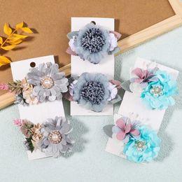 Hair Accessories 2Pcs Kids Girls Blue Gray Floral Hair Clips for Toddle Flower Safety Hairpins Headwear Decorate Hair Accessories Christmas Gifts