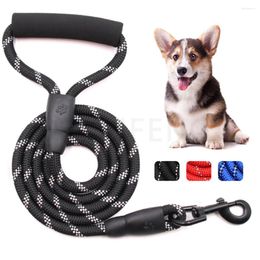 Dog Collars 150mm Reflective Leash Long Pet Strong Lead Outdoor Training Puppy Small Medium Large Big Dogs Lanyard Rope