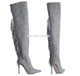 Boots ALMUDENA Beige Black Grey Suede Fringe Long Pointed Toe Back Tassel Over-the-knee Dress Shoes Sexy Pumps Plus Size