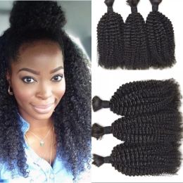 Bulks Malaysian Human Hair Bulk 3 Pcs/lot Kinky Curly Hair Bulk For Braiding Hair Extensions Natural Colour No Attachment FDSHINE