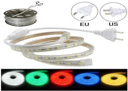 100M LED Strip Lights 220V110V Waterproof LED Rope Light For Home Christmas Decoration Outdoor Games DDA3312627922