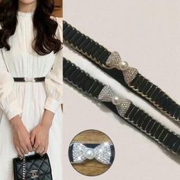 Belts Sweater Decorative Elastic Waistband Fashion Elegant Buckle Dress Belt Clothing Supplies Waist Women