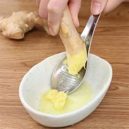 Stainless Steel Spoon Ginger Grinder Household Kitchen Melons Fruits Grinding Tool Garlic Masher Spoons Vegetable Tools LT981