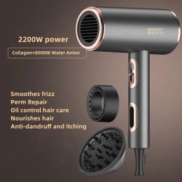Dryers 2022 Hot Selling Professional Hair Dryer Negative Ion Hammer Hair Dryer Gift Household High Power Hair Styling Tools Genuine