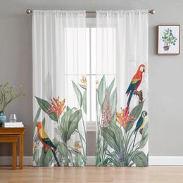 Curtain Ins Style Tropical Plants Parrot Sheer Curtains For Living Room Decoration Window Kitchen Tulle Voile Organza