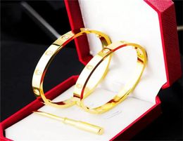 Luxury Glamour Ladies Bracelet Classic Nail bangle Unisex Valentine039s Day Wedding Gift 18K Titanium Steel Alloy Stainless Ste6905494