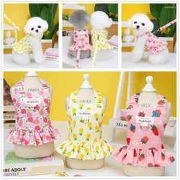 Dog Apparel Pet Clothing Fruit Traction Dress For Dogs Clothes Cat Small Strawberry Pineapple Apple Print Summer Yorkshire Accessories