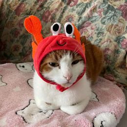 Dog Apparel Cute Pet Hat Small Cat Easter Crab Lobster Frog Cap Party Costume Accessories Headwear For Kitten Pug
