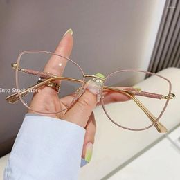 Sunglasses Fashion Cat Eye Eyeglasses Frame Tide Luxury Unisex Glasses Students Anti-blue Light Myopia Shiny Flat Eyewear
