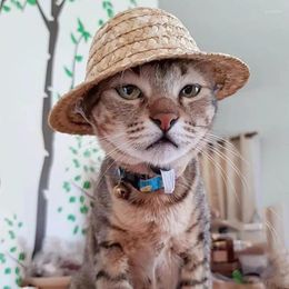 Dog Apparel 13/16/20cm Adjustable Buckle Sun Protective Straw Cat Cap Daily Party Hat Cute Pet Christmas Pography Head Decor Gift