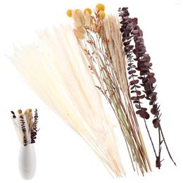 Decorative Flowers 34 Pcs Bouquet Decor Pampas Grass Vase Preserved Reed Household DIY Eternal Props Dried Pampasgrass