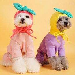 Dog Apparel Pet Fashion Cute Round Neck Hooded Warm Fruit Pattern Comfortable And Skin-friendly Sweatshirt Accessories