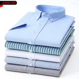 Men's Casual Shirts Summer Pure Cotton Men Solid Color Short-sleeved Shirt Breathable Oxford Loose Comfortable Top