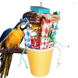 Other Bird Supplies Colorful Parrot Chew Toys Foraging Natural Cup For Parakeet Conure Cockatiel Lovebird And Small Birds