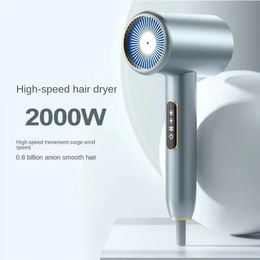 2000W Hair Dryer Professional Negative Ion Low Noise Blow Dryer Electric High Speed Powerful Adjustable Salon Household Dryer 240516