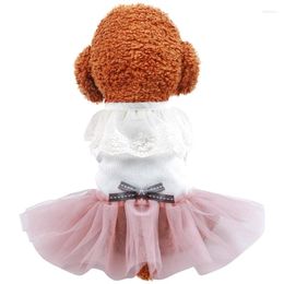 Dog Apparel Pet Puppy Clothes Spring Summer Dress Lotus Root Powder Princess Bow Gauze Skirt Casual Tutu Coat For Small