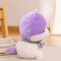 Hot 1pc 23cm Kawaii A kitten with a Scarf Plush Toys Stuffed Animals Pillow Cat Doll Girlfriend Birthday Gifts