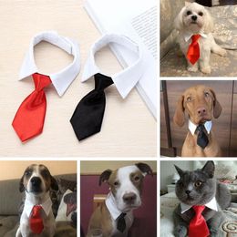 Dog Apparel Fashion Comfortable Adjustable Cat Grooming Tuxedo Bow Ties Necktie White Collar Pet Accessories Formal Tie