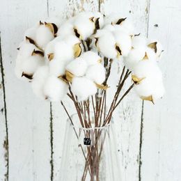 Decorative Flowers 10pcs Natural Dried Cotton White Flower Steel Pole Dry Plants For Wedding Party Decoration Artificial Branch Home Decor