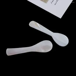 Spoons Ice Cream Natural Conch Mother Of Pearl Stirring Tool Caviar Coffee Scoop Teaspoon