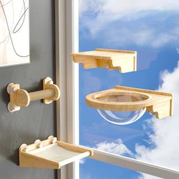 Dog Apparel Wall-Mounted Glass Suction Tray Space Punch-Free Tile Solid Wood Window