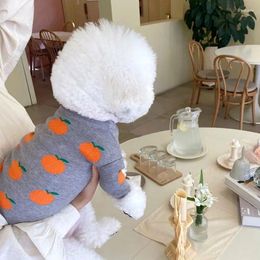 Dog Apparel Autumn And Winter Knitted Orange Print Clothes Warm Puppy Chihuahua Yorkshire Sweater For Small Clothing