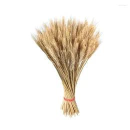 Decorative Flowers 100Pcs Wheat Ears Natural Dried Stalks Grass Golden Craft Bouquets Wedding Party Decoration Home