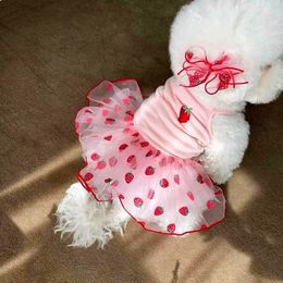 Summer Strawberry Dress for Dog Pet Clothing Suspender Skirt Clothes Cats Puppy Print Cute Mesh Supplies 240507