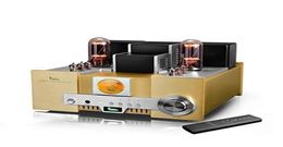 YAQIN MS650B 845 GB Vacuum Tube Hiend Tube Integrated Amplifier 12AT7 12AU7 With Remoto Control 110v240v Brend New8971781