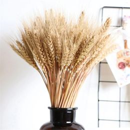 Decorative Flowers 50pcs Natural Wheat Stalks Dried Stems Flower Bouquet Grass Golden For Wedding Bridal Decoration Table Boho Home Decor